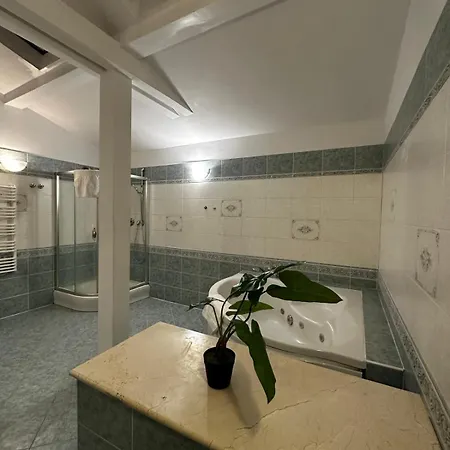 アパート Florianska Penthouse Delux