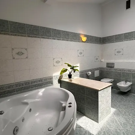 Florianska Penthouse Delux كراكوفيا