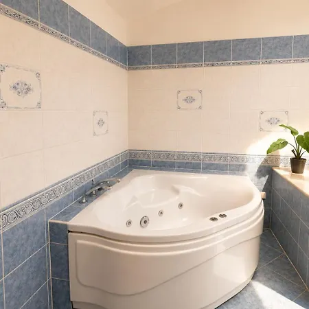 Florianska Penthouse Delux *